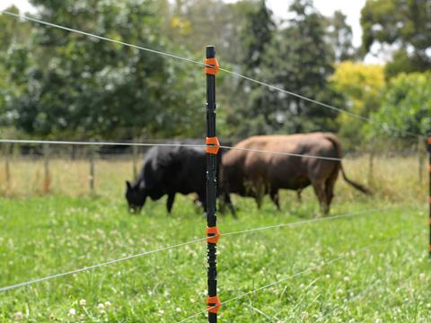 Buy Gallagher Electric Fencing Testers